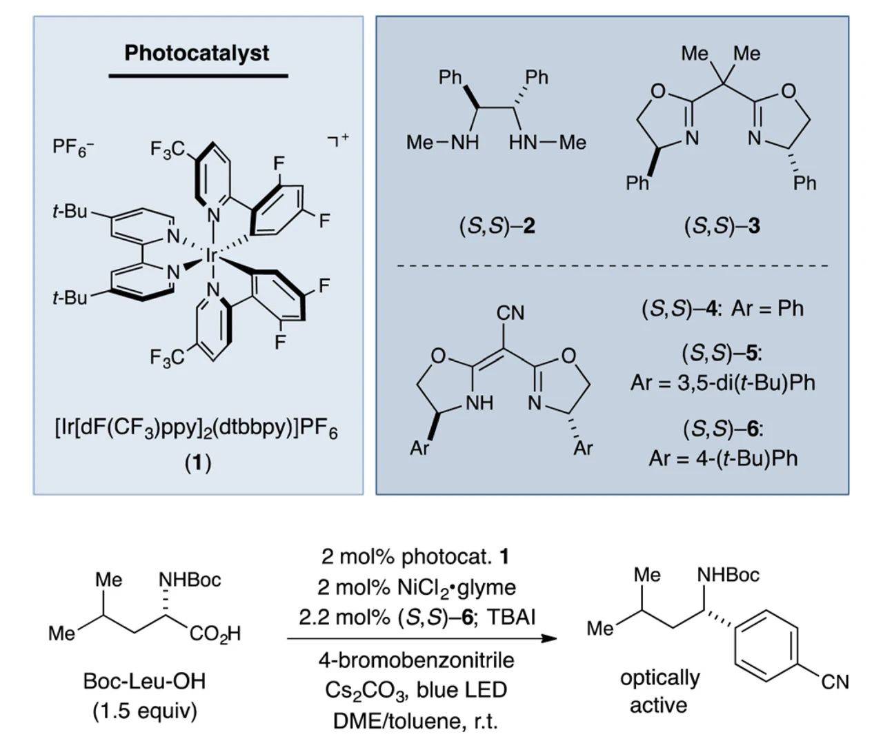 他们还以n-boc保护基修饰的亮氨酸作为原料,合成了两种手性苄胺7,8,7