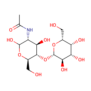 N - Acetyllactosamine,CAS No. 32181-59-2.