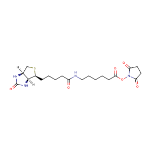 Succinimidyl 6-(biotinamido)hexanoate,CAS No. 72040-63-2.
