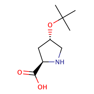trans-4-(tert-Butoxy)pyrrolidine-2-carboxylic acid,CAS No. 79775-07-8.