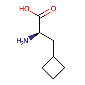 (R)-2-Amino-3-cyclobutyl-propionic acid,CAS No. 174266-00-3.