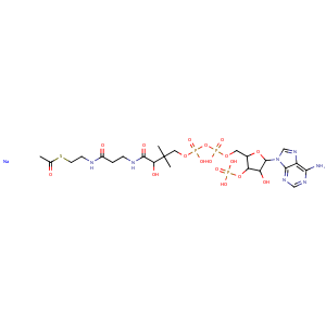 Acetyl coenzyme A sodium salt,CAS No. 102029-73-2.
