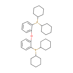 (Oxybis(2,1-phenylene))bis(dicyclohexylphosphine),CAS No. 434336-16-0.