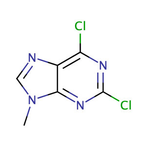 2,6-dichloro-9-methyl-9H-purine,CAS No. 2382-10-7.