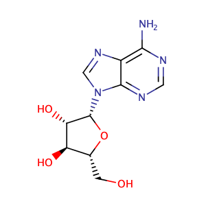(2R,3S,4S,5R)-2-(6-Amino-9H-purin-9-yl)-5-(hydroxymethyl)tetrahydrofuran-3,4-diol,CAS No. 5536-17-4.