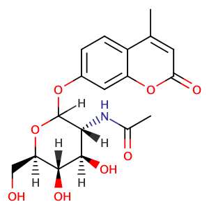 4-Methylumbellifery-2-acetamido-2-deoxy-β-D-glucopyranoside,CAS No. 37067-30-4.