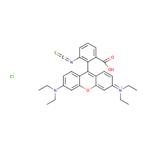 Rhodamine B isothiocyanate,CAS No. 36877-69-7.