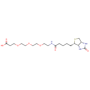 14-oxo-18-((3aS,4S,6aR)-2-oxohexahydro-1H-thieno[3,4-d]imidazol-4-yl)-4,7,10-trioxa-13-azaoctadecan-1-oic acid,CAS No. 252881-76-8.