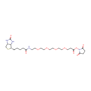 2,5-dioxopyrrolidin-1-yl 17-oxo-21-((3aS,4S,6aR)-2-oxohexahydro-1H-thieno[3,4-d]imidazol-4-yl)-4,7,10,13-tetraoxa-16-azahenicosan-1-oate,CAS No. 459426-22-3.