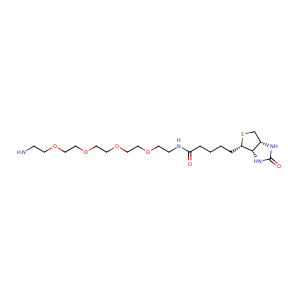 N-(14-amino-3,6,9,12-tetraoxatetradecyl)-5-((3aS,4S,6aR)-2-oxohexahydro-1H-thieno[3,4-d]imidazol-4-yl)pentanamide,CAS No. 663171-32-2.