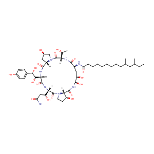 Pneumocandin B0,CAS No. 135575-42-7.
