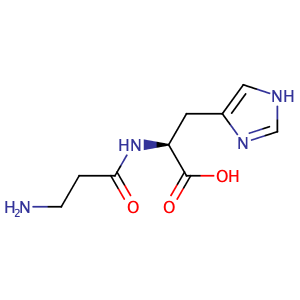 N-β-alanyl-L-histidine,CAS No. 305-84-0.