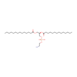 1,2-DIMYRISTOYL-SN-GLYCERO-3-PHOSPHOETHANOLAMINE,CAS No. 998-07-2.