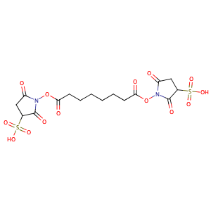 Bis(sulfosuccinimidyl) suberate sodium salt,CAS No. 82436-77-9.