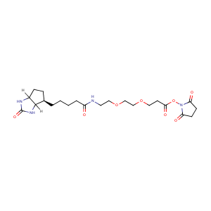 (+)-Biotin-PEG2-NHS Ester,CAS No. 596820-83-6.