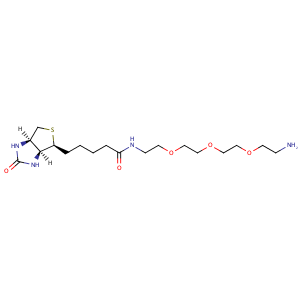 (+)-Biotin-PEG3-CH2CH2NH2,CAS No. 359860-27-8.