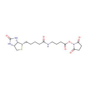 2,5-Dioxopyrrolidin-1-yl 4-(5-((3aS,4S,6aR)-2-oxohexahydro-1H-thieno[3,4-d]iMidazol-4-yl)pentanaMido)butanoate,CAS No. 258289-54-2.