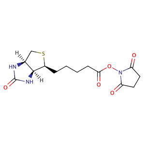 D-biotin-N-hydroxysuccinimide ester,CAS No. 35013-72-0.