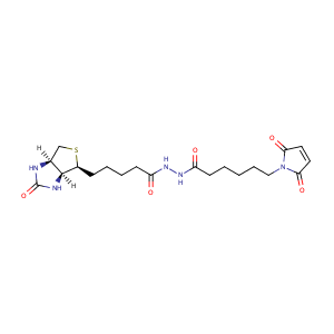Biotin-maleimide,CAS No. 116919-18-7.