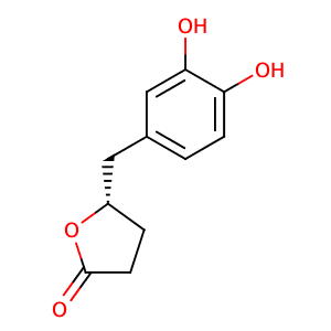 5-[(3,4-dihydroxyphenyl)methyl]oxolan-2-one,CAS No. 21618-92-8.