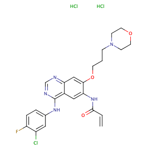 Canertinib dihydrochloride,CAS No. 289499-45-2.