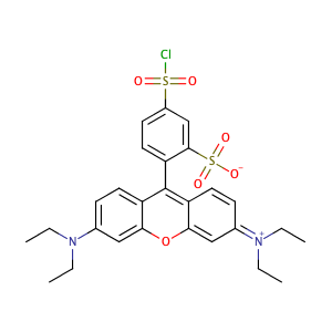 sulforhodamine B sulfonyl chloride,CAS No. 62796-29-6.