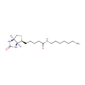 (3aS,4S,6aR)-N-(6-aminohexyl)hexahydro-2-oxo-1H-thieno[3,4-d]imidazole-4-pentanamide,CAS No. 65953-56-2.