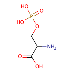 2-amino-3-phosphonooxypropanoic acid,CAS No. 17885-08-4.