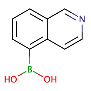 Isoquinolin-5-ylboronic acid,CAS No. 371766-08-4.