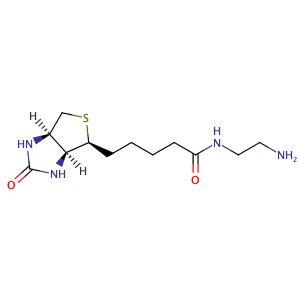 5-[(3aS,4S,6aR)-2-oxo-1,3,3a,4,6,6a-hexahydrothieno[3,4-d]imidazol-4-yl]-N-(2-aminoethyl)pentanamide,CAS No. 111790-37-5.