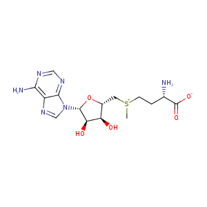 Adenosine, 5′-[(L-3-amino-3-carboxypropyl)methylsulfonio]-5′-deoxy-, hydroxide, inner salt,CAS No. 29908-03-0.